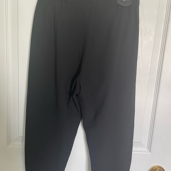 Conan pants by aritzia - Picture 3 of 5